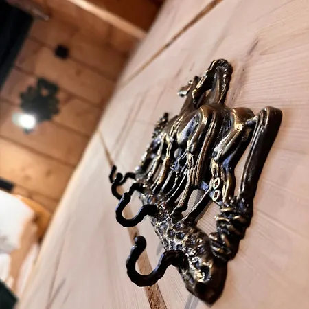 Appartamento I Regionalny Styl Ul Bachledy 20 Zakopane