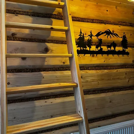 公寓 I Regionalny Styl Ul Bachledy 20 扎科帕内