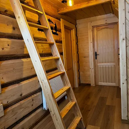 I Regionalny Styl Ul Bachledy 20 公寓 扎科帕内