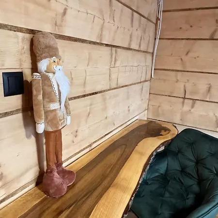 I Regionalny Styl Ul Bachledy 20 公寓 扎科帕内