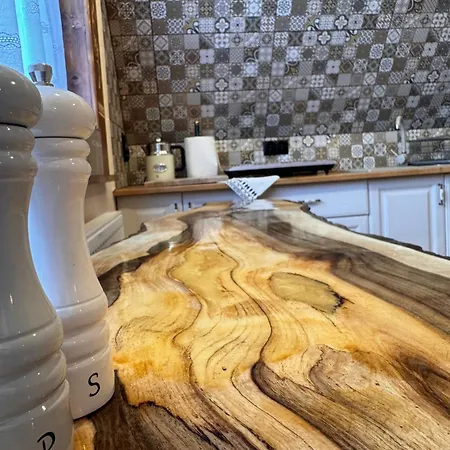 I Regionalny Styl Ul Bachledy 20 公寓 扎科帕内