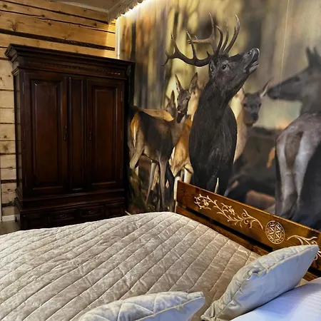 I Regionalny Styl Ul Bachledy 20 公寓 *