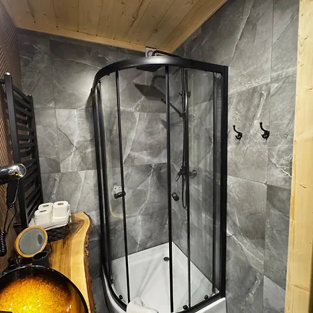 I Regionalny Styl Ul Bachledy 20 * 扎科帕内