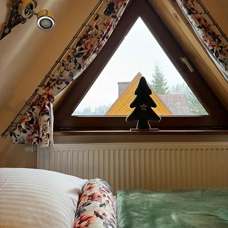 I Regionalny Styl Ul Bachledy 20 公寓 扎科帕内