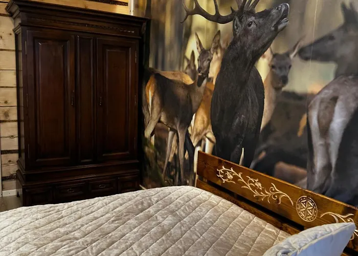 I Regionalny Styl Ul Bachledy 20 דירה *